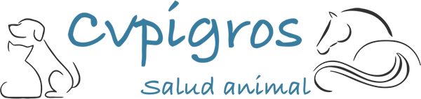 clinica veterinaria castellon