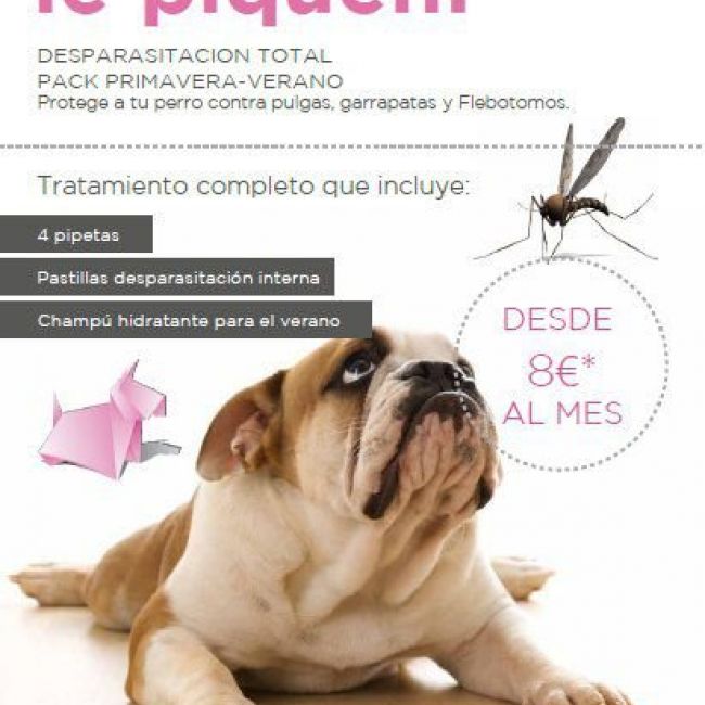 Campaña desparasitación en Castellón