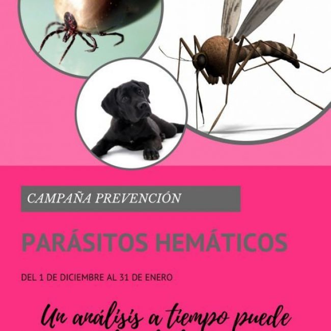 Campaña de Prevención de Parásitos Hemáticos