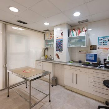 CLINICA VETERINARIA PI GROS 015