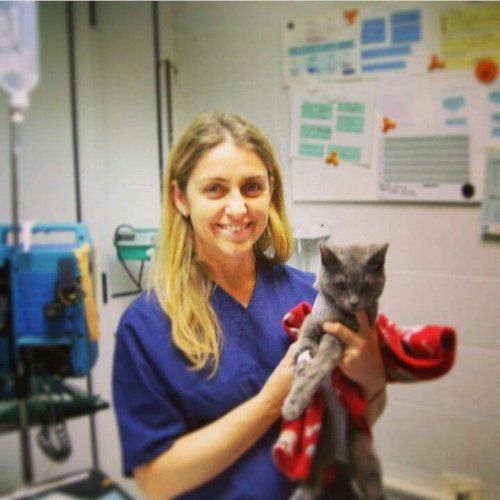 CLINICA VETERINARIA PI GROS 018