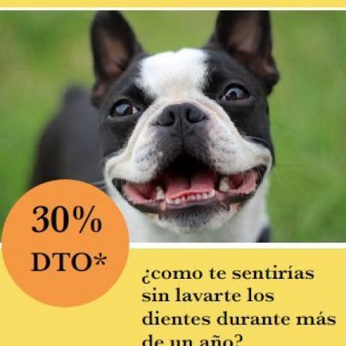 Campaña veterinaria higiene bucal Castellón 30% dto