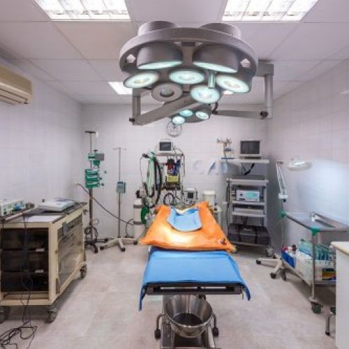CLINICA VETERINARIA PI GROS 016