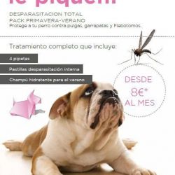 Campaña desparasitación en Castellón