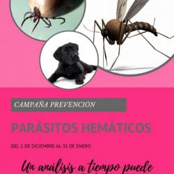 Campaña de Prevención de Parásitos Hemáticos