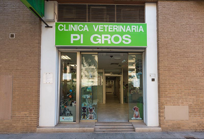 Veterinario en Castellón
