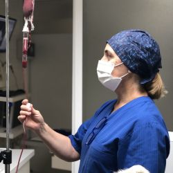 Cirugía veterinaria PI GROS