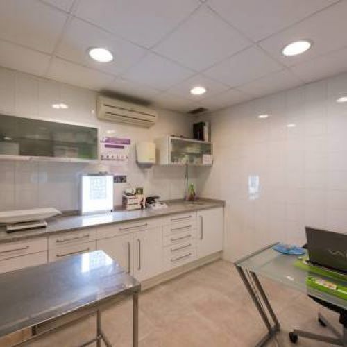 Detalle clínica PI GROSS