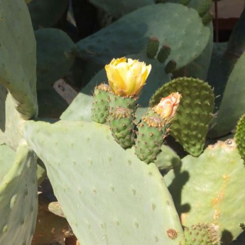 dscf5743