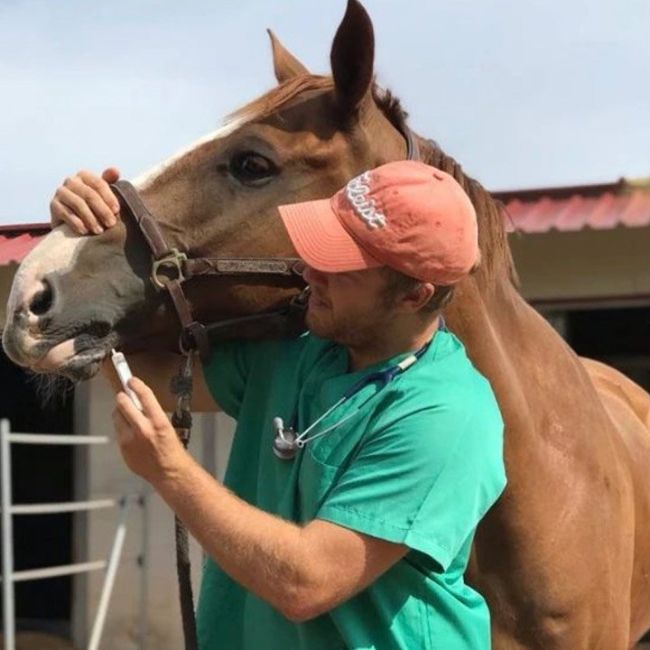 Medicina preventiva caballos