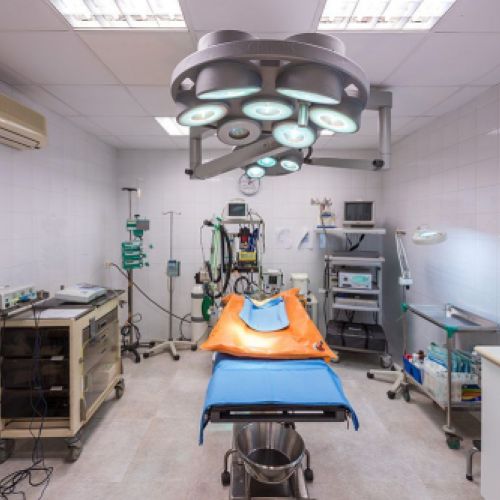 CLINICA VETERINARIA PI GROS 016