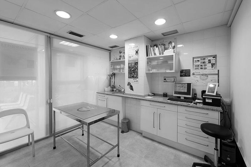 Atención integral para tu mascota