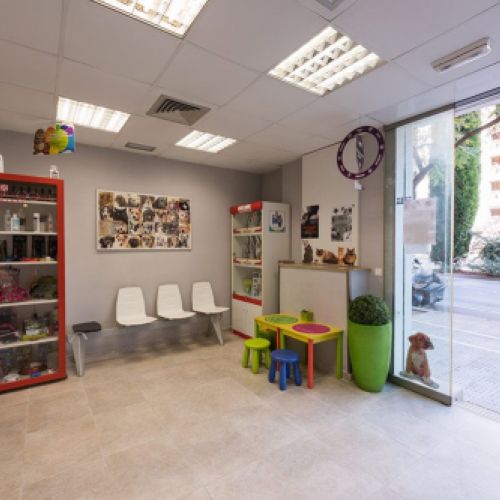 Interior Clínica Veterinaria PI GROS