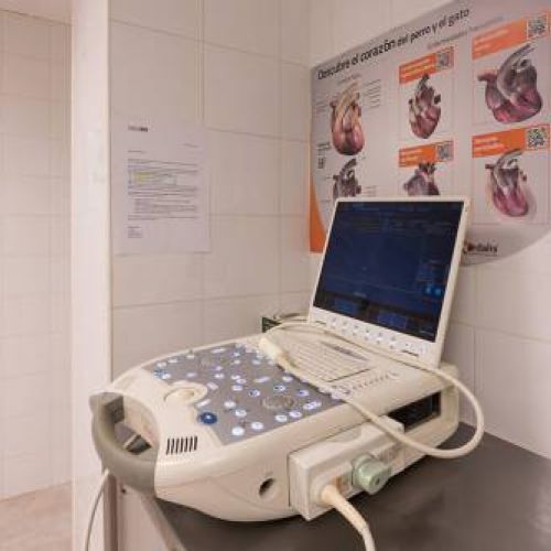 Ecógrafo Clínica PI GROS